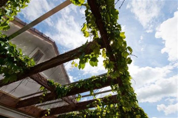 Clearvue Roofing System - Image 3