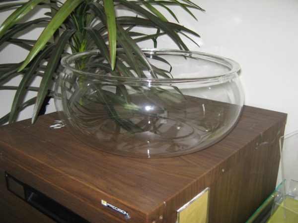 Fish Bowls - Image 3