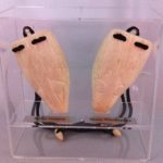 Museum Cases and Accessories