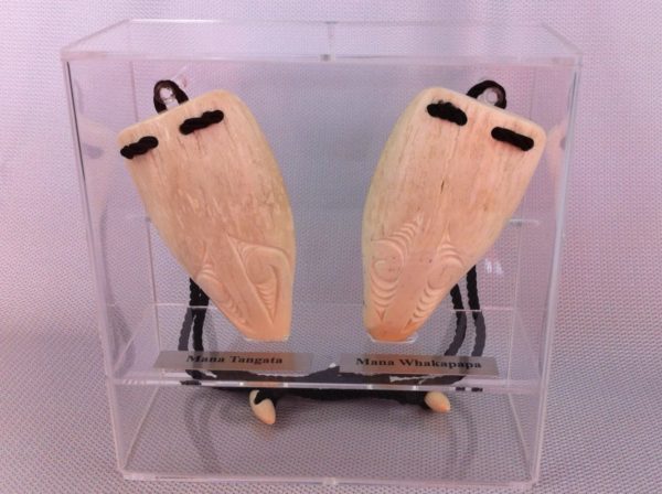 Museum Cases and Accessories