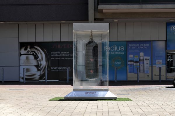 Museum Cases and Accessories - Image 9