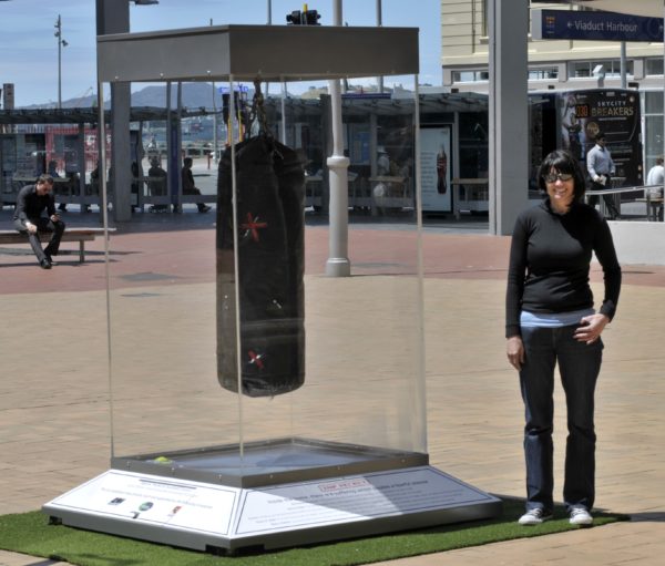 Museum Cases and Accessories - Image 8